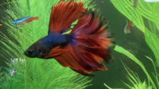 最近一番驚いたこと。。。