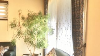 オーダーカーテンとカーテンシェード納品させて頂きました！